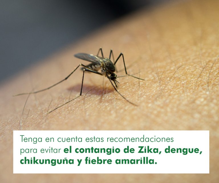 Consejos para viajar a climas cálidos y prevenir enfermedades transmitidas por mosquitos