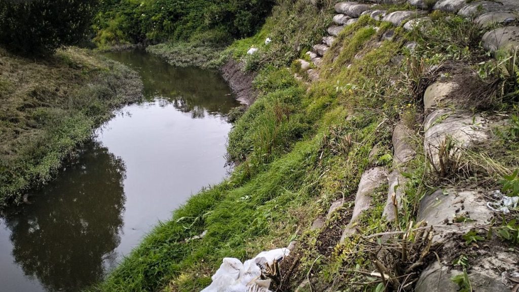 Limpieza del Río Chía