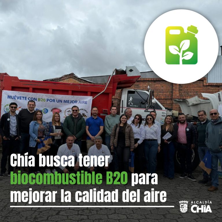 Biocombustible B20