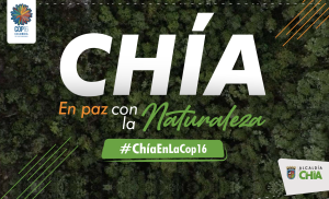 ChiaEmLaCop16