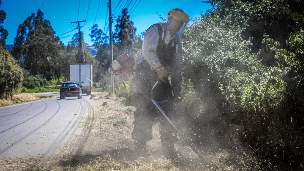 Más de 10 toneladas de residuos han sido retirados de vallados en Chía durante este 2025