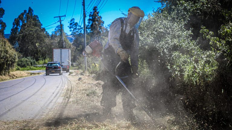 En lo que va corrido del mes de enero del presente año la Secretaría de Medio Ambiente ha llevado a cabo un arduo trabajo de limpieza, mantenimiento y adecuación de vallados en varios puntos críticos en la vereda Fagua y Bojacá, ya son más de 1.600 metros lineales recuperados. De esta manera, se han venido realizando dichas jornadas durante todos los días este primer mes del año logrando recolectar más de 10 toneladas de residuos sólidos, lo que contribuye a la reducción en la contaminación en la zona, eliminando elementos que representan riesgos para el medio ambiente y la seguridad de la comunidad. Es de mencionar, que además de la limpieza se ha realizado una supervisión continua a los vallados con el fin de garantizar que se mantengan en óptimas condiciones, dejando la recomendación a la comunidad para que contribuya al cuidado de estos de estos cauces naturales. Este esfuerzo forma parte de una de las estrategias de la Secretaría de Medio Ambiente para fomentar la conservación de los espacios naturales.