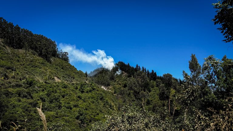 Administración atiende incendio forestal que se presenta en límites entre Chía y Tabio