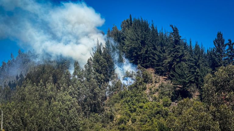 Controlado el incendio