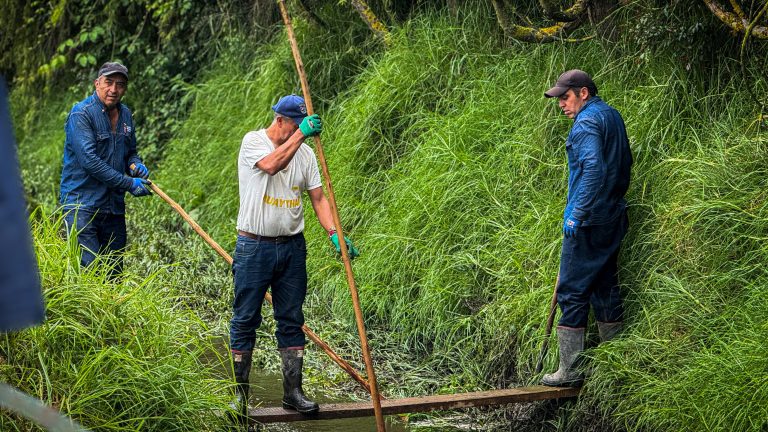 La Secretaría de Medio Ambiente continúa con jornadas de limpieza en la Chucua de Fagua
