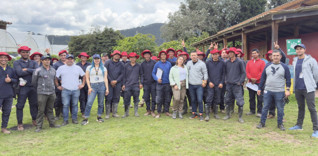 educacion vial