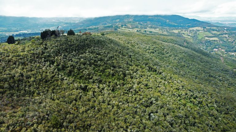 Chía protege y conserva los recursos hídricos, ya son 34 los predios adquiridos 