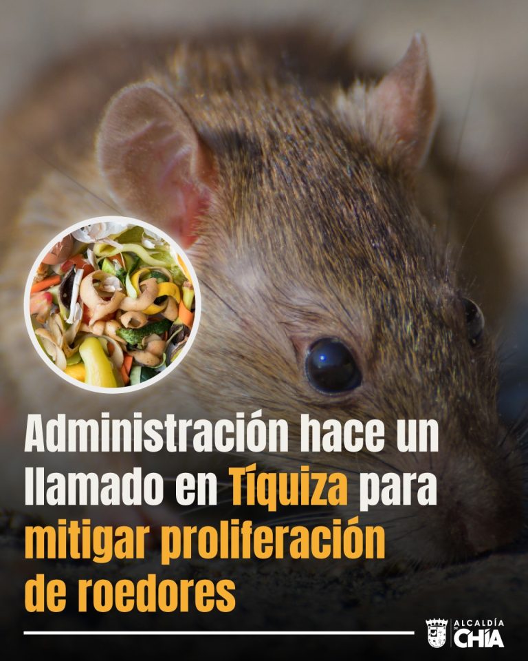Secretaría de Salud llama a la prevención de proliferación de roedores en Tíquiza