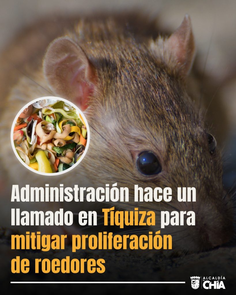 Secretaría de Salud llama a la prevención de proliferación de roedores en Tíquiza
