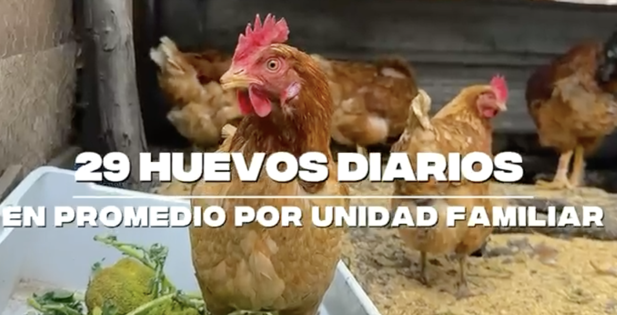 ¡Detrás de los pequeños productores del municipio!